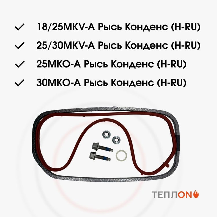 Protherm 0020195512 Прокладка крышки камеры сгорания